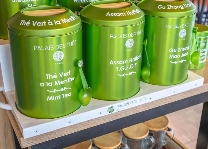 فندق Ibis Centre